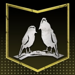 Icon for Two Birds with One Stone