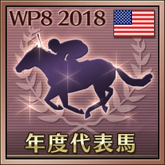 Icon for 年度代表馬受賞（米国）