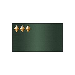 Icon for 上等兵昇格