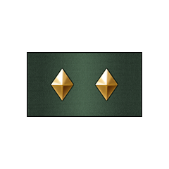 Icon for 軍曹昇格