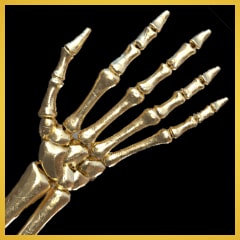 Icon for Gold Skeleton Hands