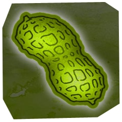 Darknut