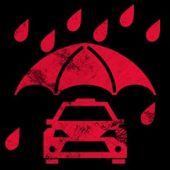 Icon for Rainmeister