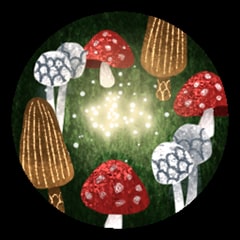 Icon for Fun with Fungi