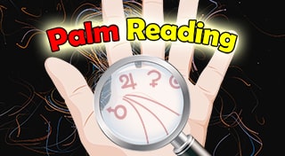 Palm Reading Premium