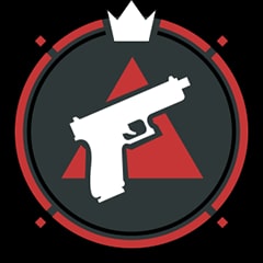 Icon for There are many guns but this one is mine