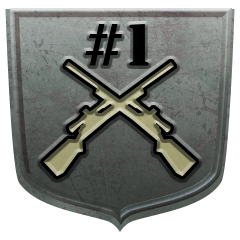 Icon for TDM Champ