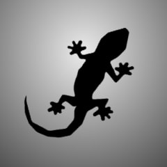 Icon for Bought a Gecko