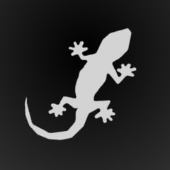 Icon for Lost a Gecko