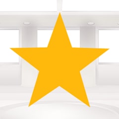 Icon for Full Star
