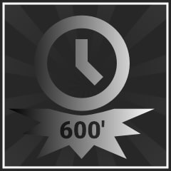 Icon for Crossminton Professional Badge