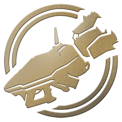 Icon for Flak Cannon Master