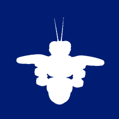 Icon for The Airforce