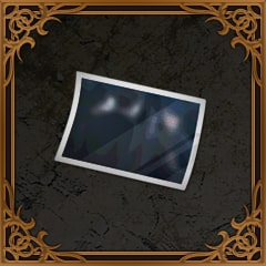 Icon for Obtainer of the Secret Meeting Photo