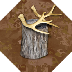 Icon for Advanced woodsman