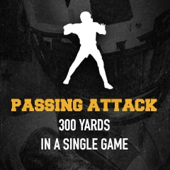 Icon for Pass Attack 300