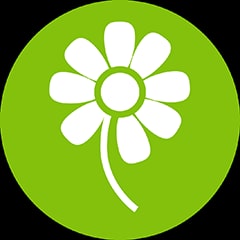 Icon for Photosynthesis time