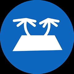 Icon for Treasure Island Champion