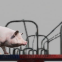 Icon for Piggy-Go-Round