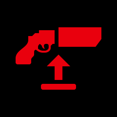 Icon for Non-Standard Issue