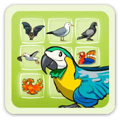 Icon for Bird-fancier