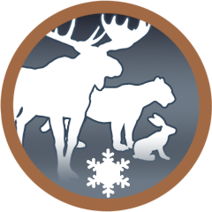Icon for All Winter Animals…Check