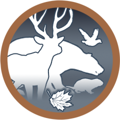 Icon for All Autumn Animals…Check