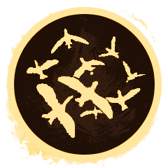 Icon for Have you ever seen so many seagulls