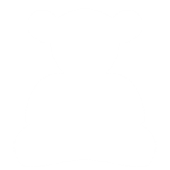 Icon for Big Secret Bear