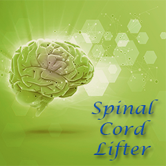 Icon for Spinal Cord Lifter 