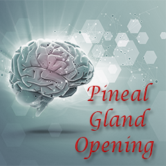 Icon for Pineal Gland Opening  