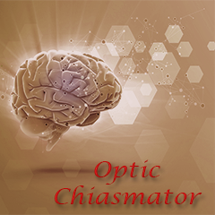 Icon for Optic Chiasmator 