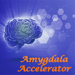 Icon for Amygdala Accelerator 