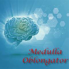 Icon for Medulla Oblongator 