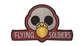 Flying Soldiers