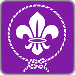 Icon for Merit badge