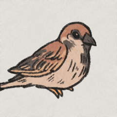 Icon for Messenger Bird
