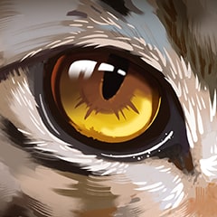 Icon for Eagle eye!