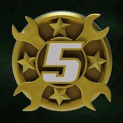 Icon for Workshop level 5