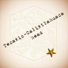 Icon for Tecaxic-Calixtlahuaca head