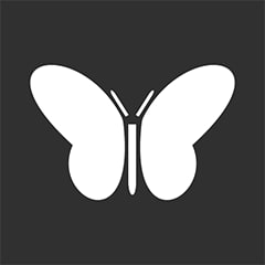 Icon for Butterflies Catcher