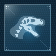 Icon for So Many Teeth