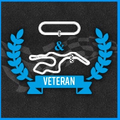 Icon for Bump and Run Veteran