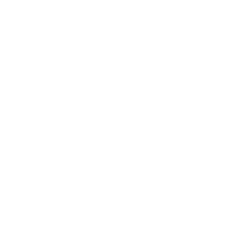 Icon for Can't Stoppie the Feeling