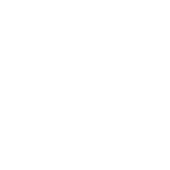 Icon for Stuntman