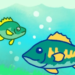 Icon for The Fish Are Biting Today