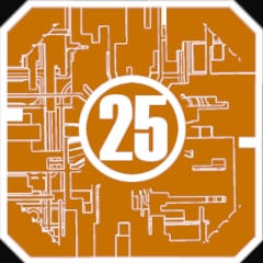 Icon for 25th scheme