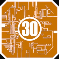 Icon for 30th scheme