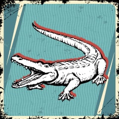 Icon for Alligator Queen