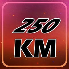 Icon for 250 km!